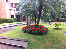 Servios de paisagismo e jardinagem