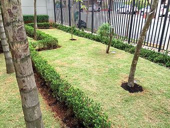 Manuteno de jardins e reas verdes