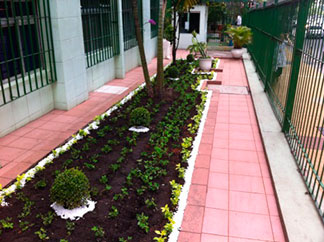 Paisagismo e reforma
