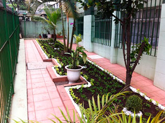 Paisagismo e reforma
