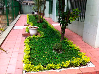 Paisagismo e reforma